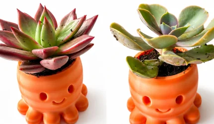 Custom 3D Printed Planters
